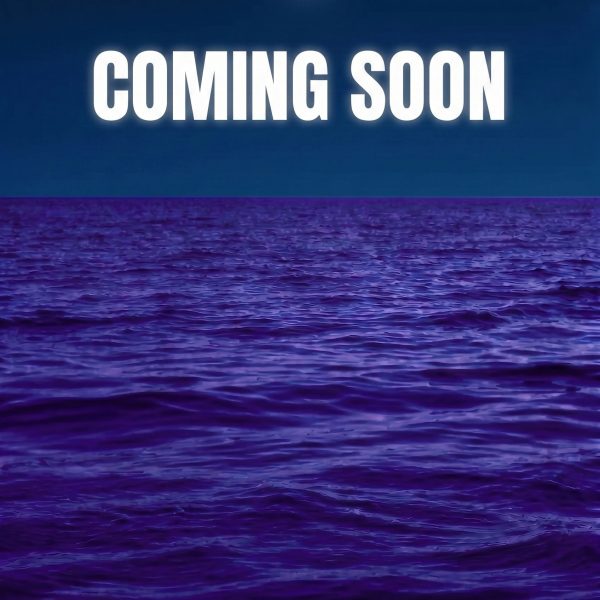 Indigo Tides